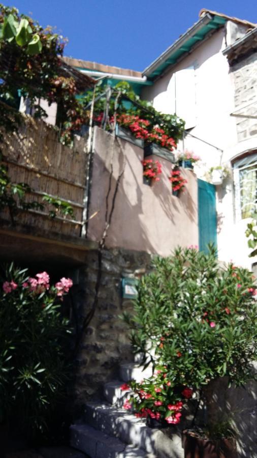 Bed and Breakfast Les Hibiscus Saint-Jean-le-Centenier Zewnętrze zdjęcie